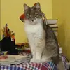 Отзыв от Надежда Руднева